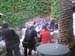 corral16 (32)