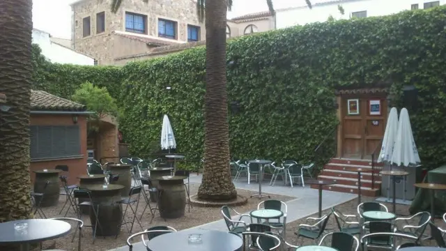 Patio con terraza de El Corral de las Cigüeñas, entre palmeras y muros de hiedra